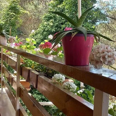 Apartament Durres, House *